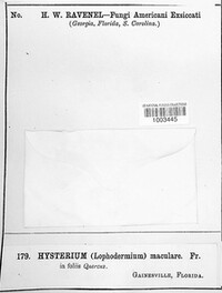 Image Associated With the Occurence